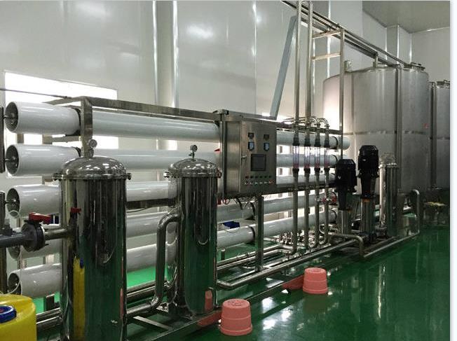 4噸雙級純凈水設備