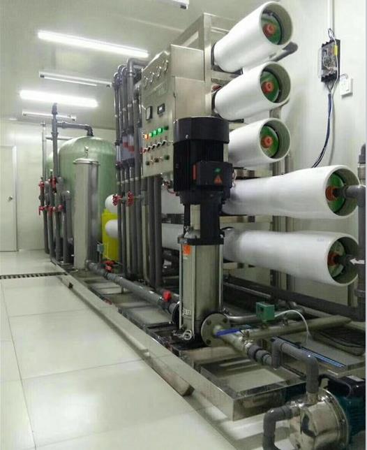 6噸雙級純凈水設備