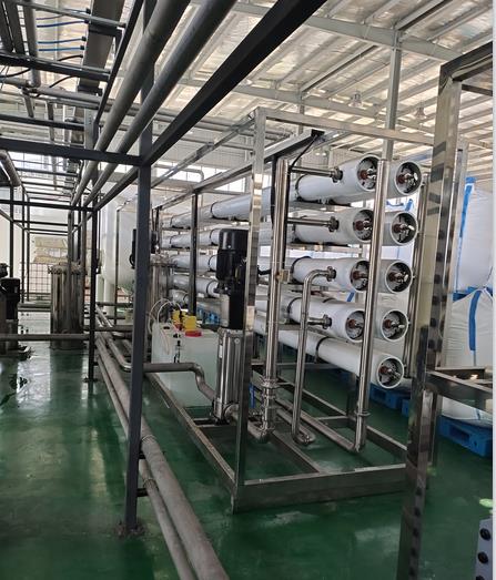 20噸雙級純凈水設備